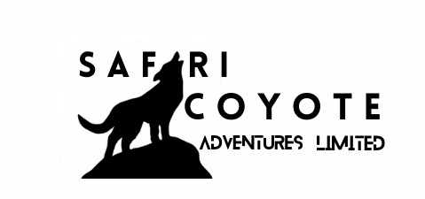 safaricayoteadventure.thenasblueprint.com
