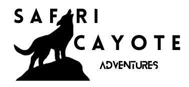 safaricayoteadventure.thenasblueprint.com